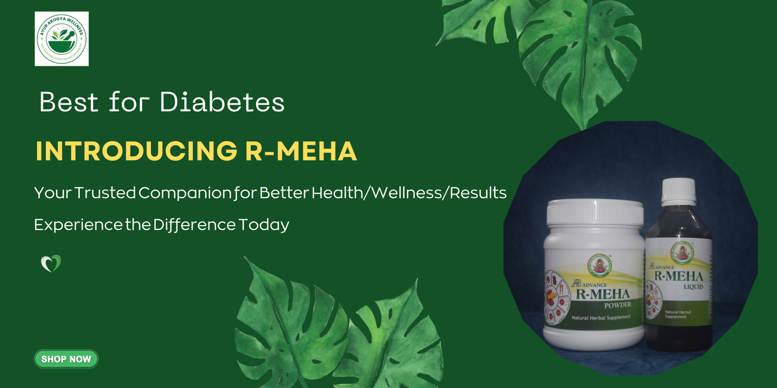 R-Meha product image