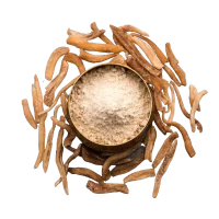 Safed Musli